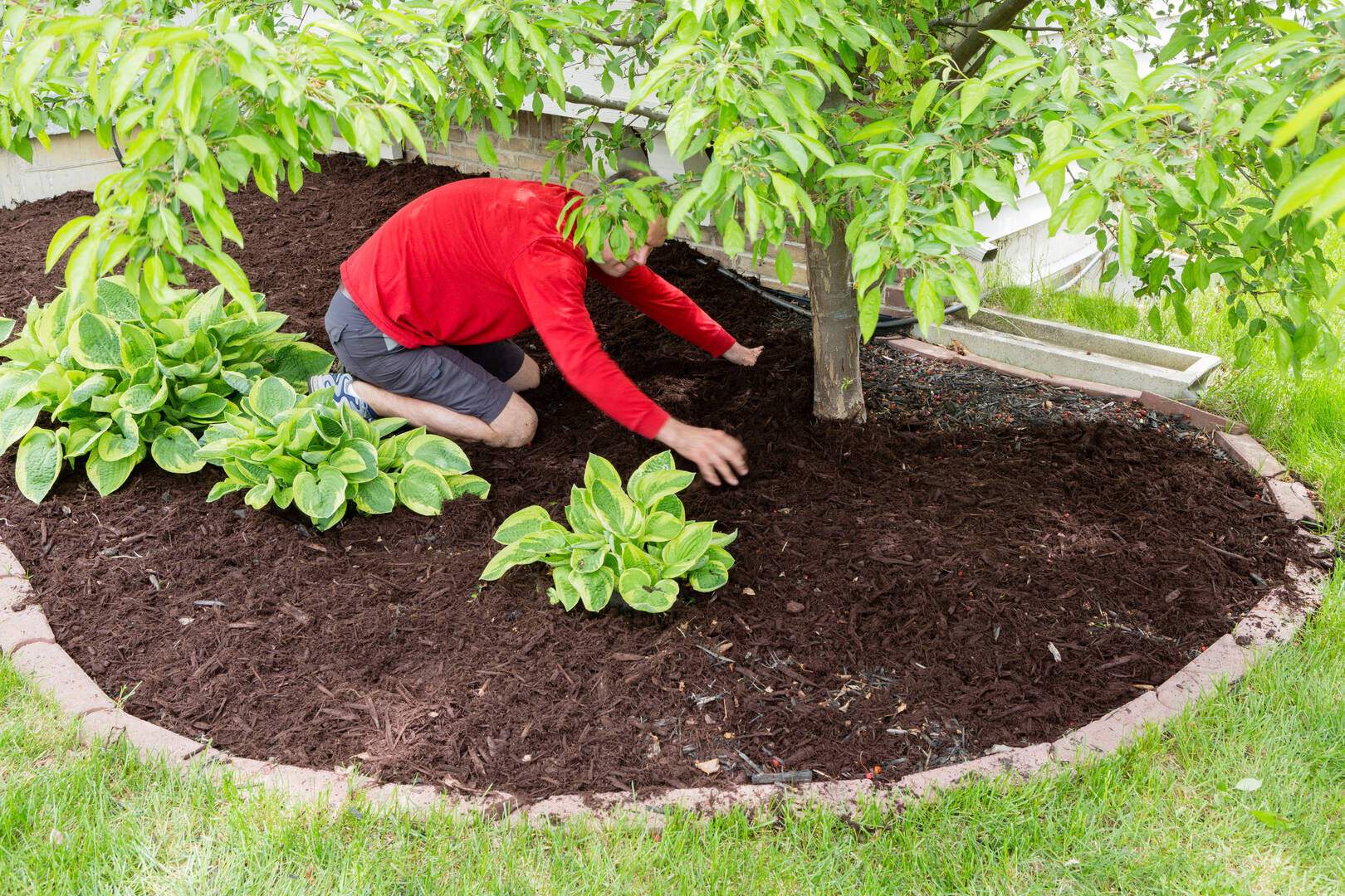 Reinford Landscapes