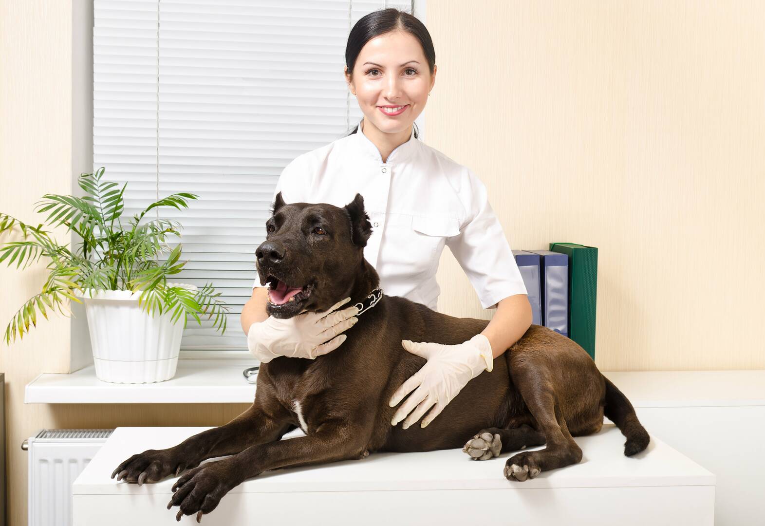 Ashland Terrace Animal Hospital