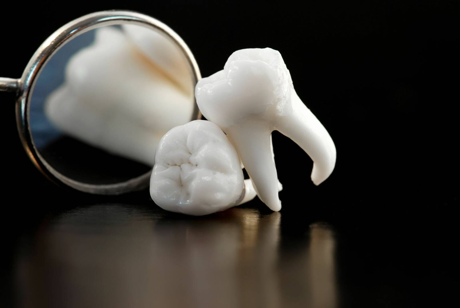 Katz Orthodontics: Mark J. Katz, DDS,MSD, PA
